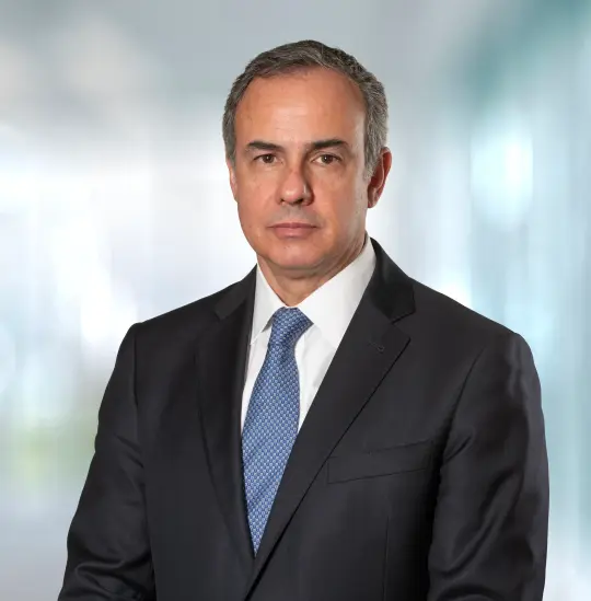 <p><strong>Jos&eacute; Antonio Llaneza Torrealba</strong></p>