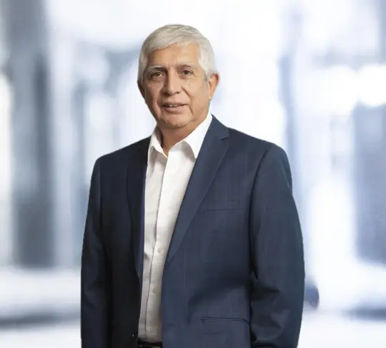 <p><strong>Ricardo Vargas Bernal</strong></p>
<p>Contador Auditor</p>